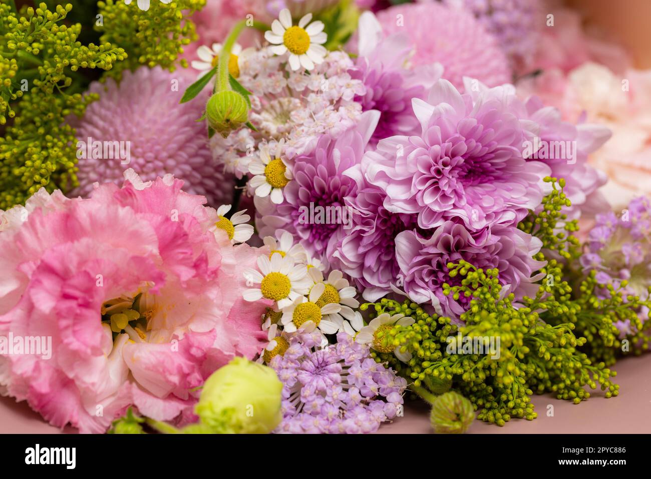 Variety of purple flower in a box Stock Photo