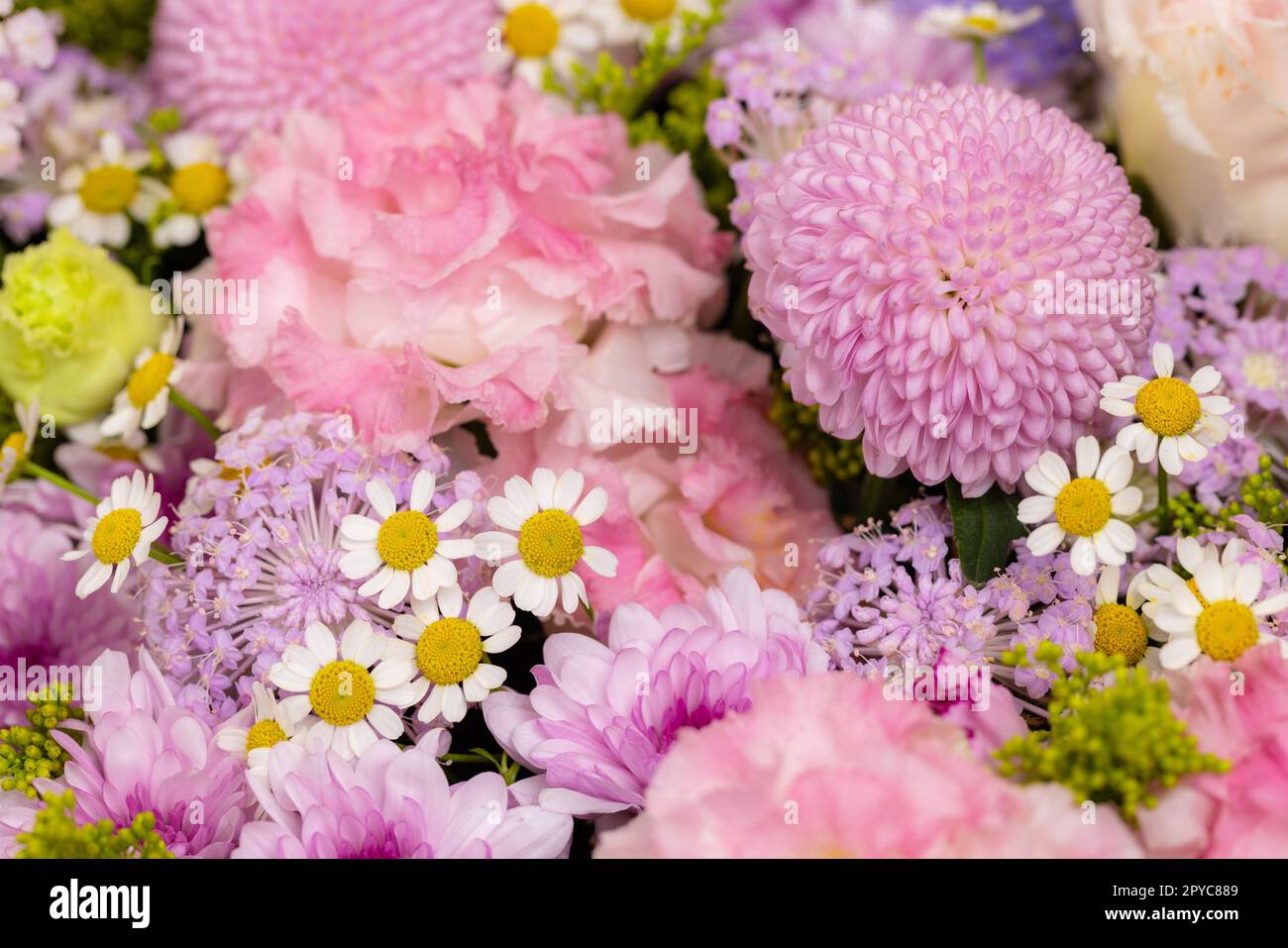 Purple flower arrangement in a box Stock Photo Alamy