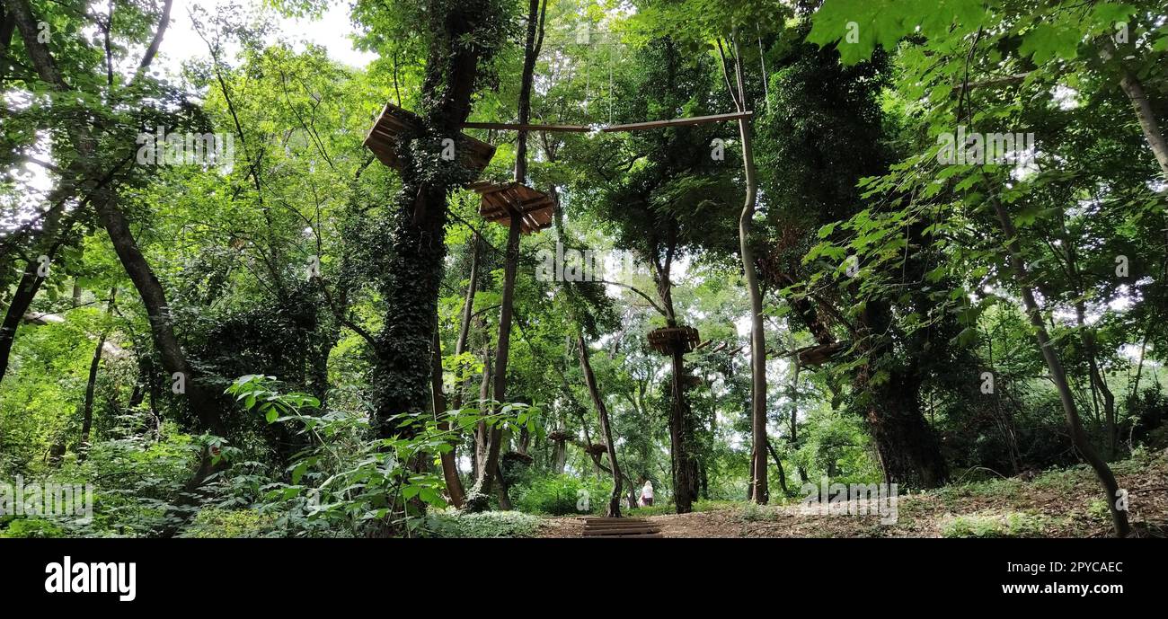 Go Ape Adventure. Located in national parks and local recreational
