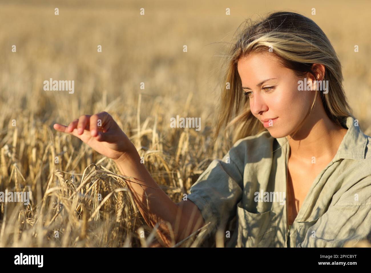 Woman touching barley in a field Stock Photo