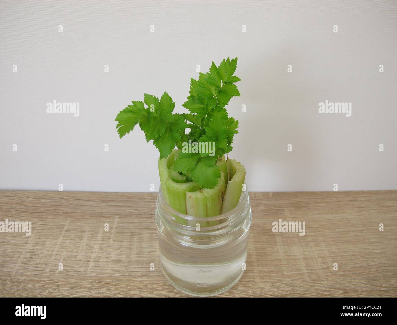 Celery in a water glass hires stock photography and images Alamy