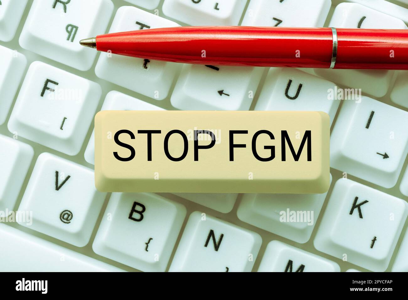 Conceptual caption Stop Fgm. Business showcase Put an end on female genital cutting and female circumcision Stock Photo