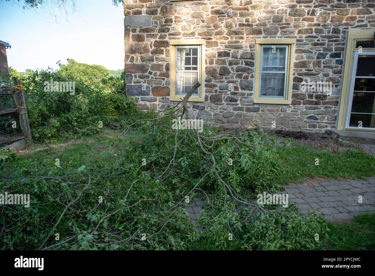 Cut tree branches with leaves in the front yard of an old stone house. Stock Photo