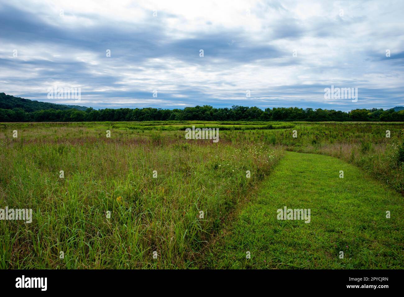 Cut grass path through a meadow with large prehistoric circle background Stock Photo