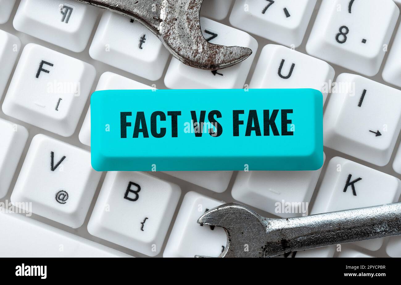 Conceptual caption Fact Vs Fake. Internet Concept Is it true or is false doubt if something is real authentic Stock Photo