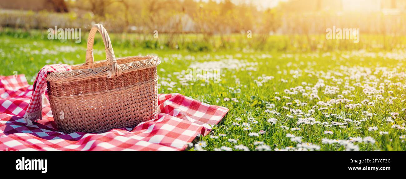 Checkered picnic duvet with empty basket on the blossoming meadow Stock ...