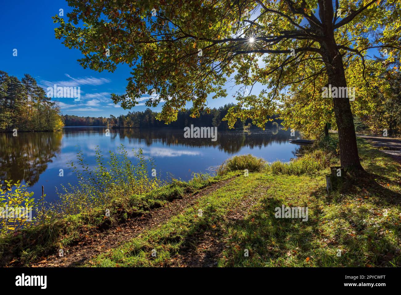 Typical landscape in Trebonsko region near Trebon city in Southern Bohemia, Czech Republic Stock Photo