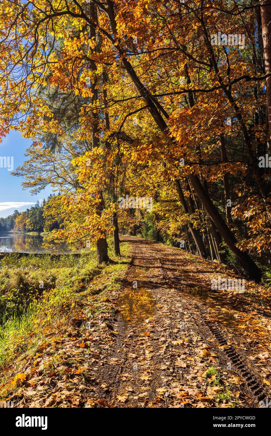 Typical autumn landscape in Trebonsko region near Trebon city in Southern Bohemia, Czech Republic Stock Photo