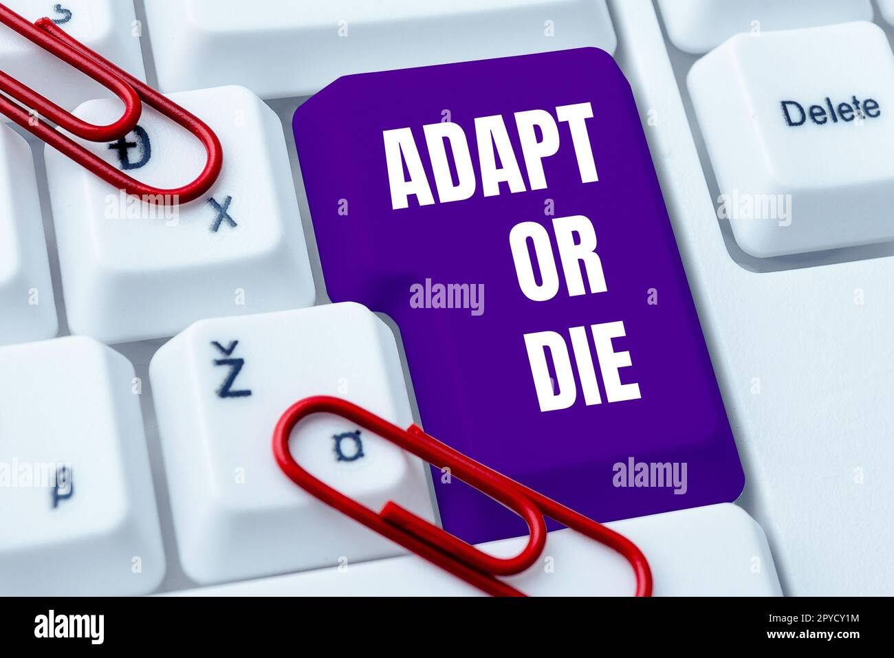 Sign displaying Adapt Or Die. Word for Be flexible to changes to continue operating your business Stock Photo