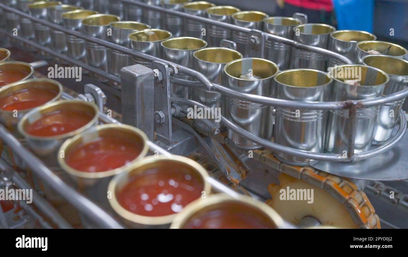 Canned fish factory. Food industry.  Many can of sardines on a conveyor belt. Sardines in red tomato sauce in tinned cans at food factory. Food processing production line. Food manufacturing industry. Stock Photo