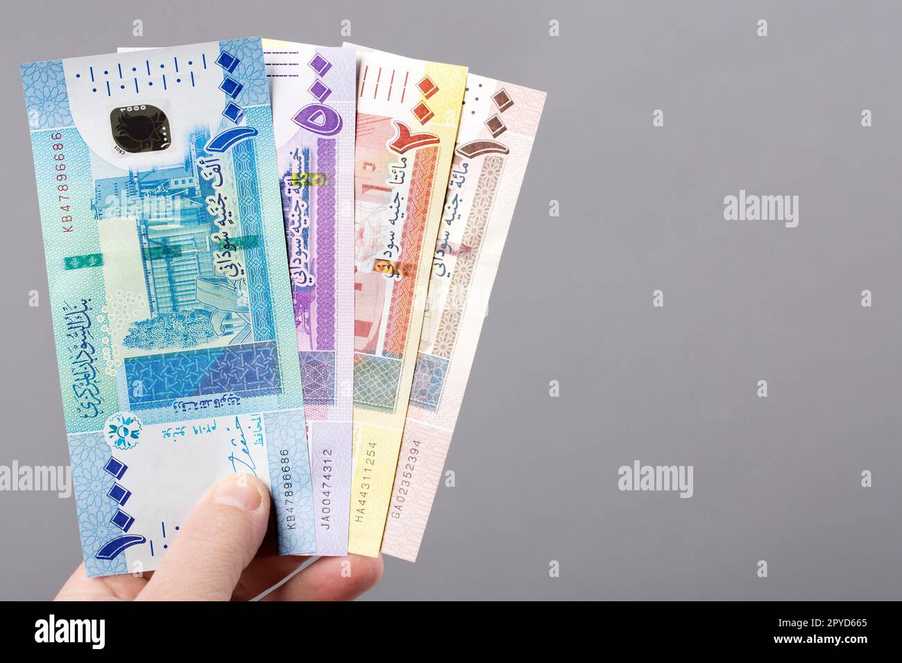 Sudanese money on a gray background Stock Photo