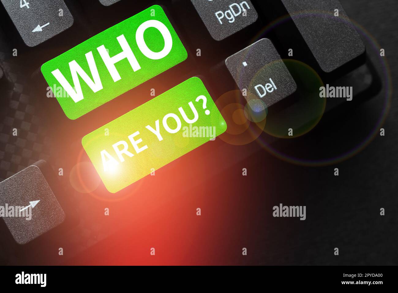 Text caption presenting Who Are You. Conceptual photo Identify yourself description personal characteristics Stock Photo