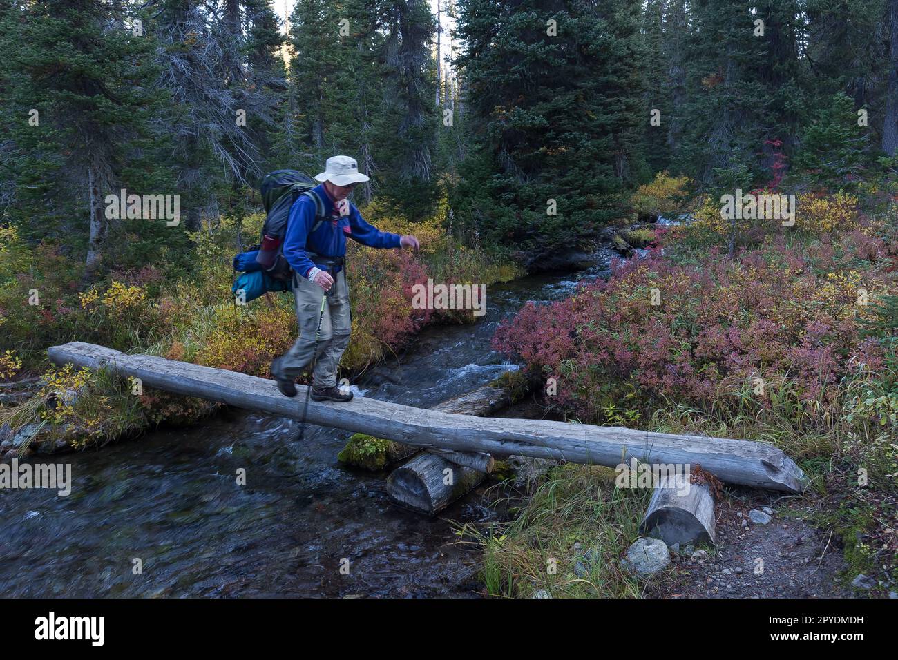 elderly male backpacker crossing a stream Stock Photo