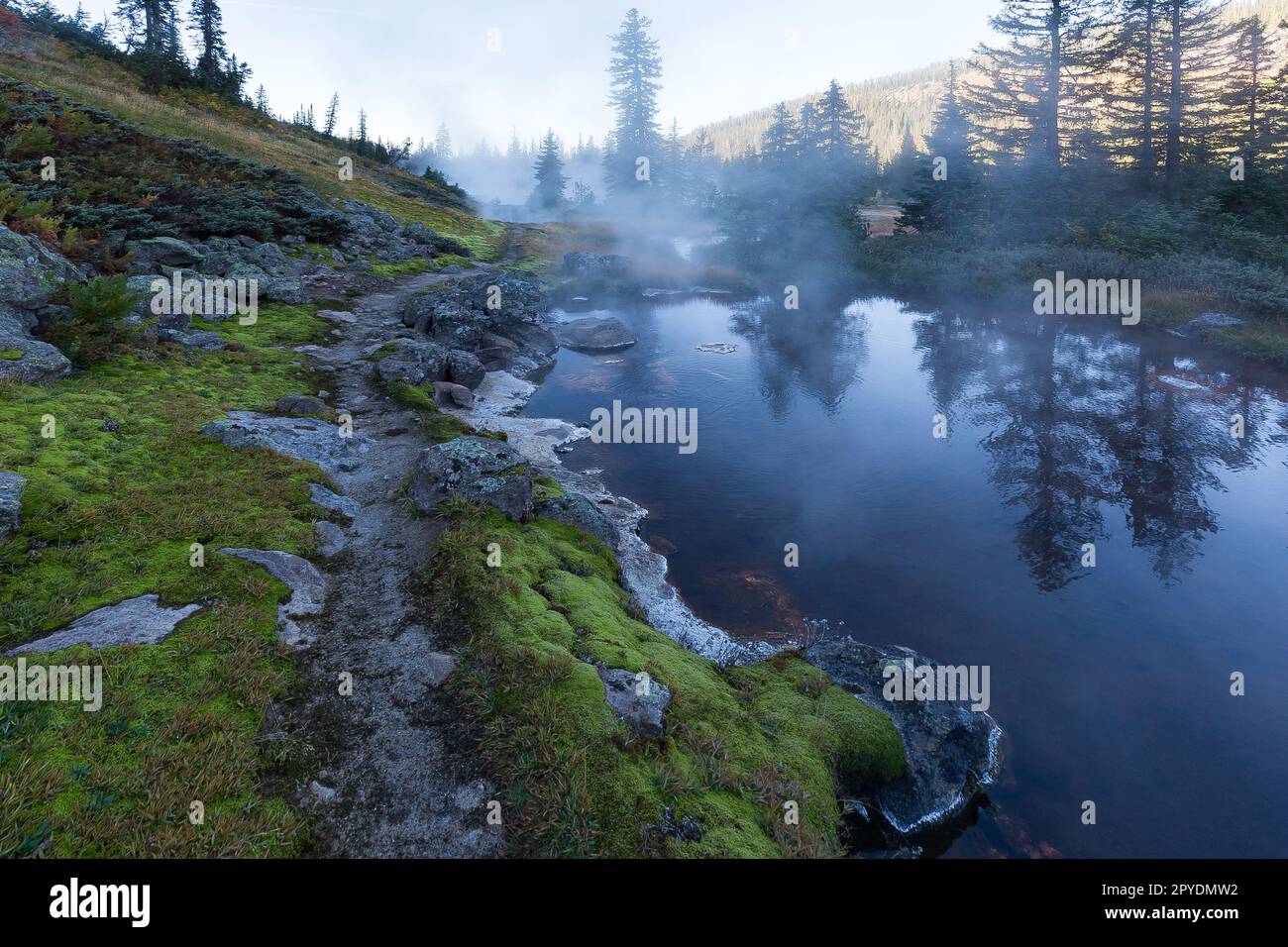 thermal areas in yellowstone backcountry Stock Photo Alamy
