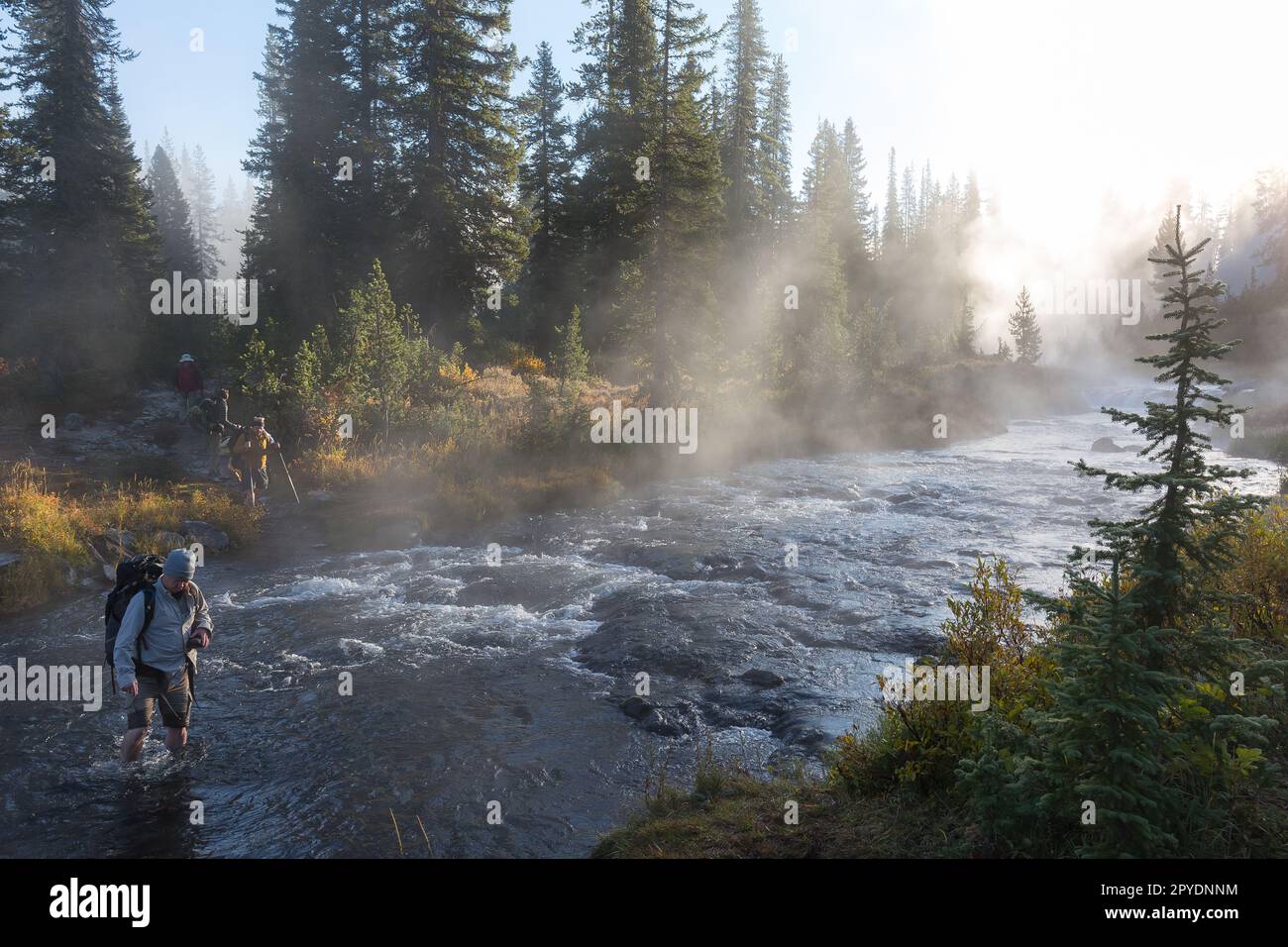 river crossing in yellowstone Stock Photo