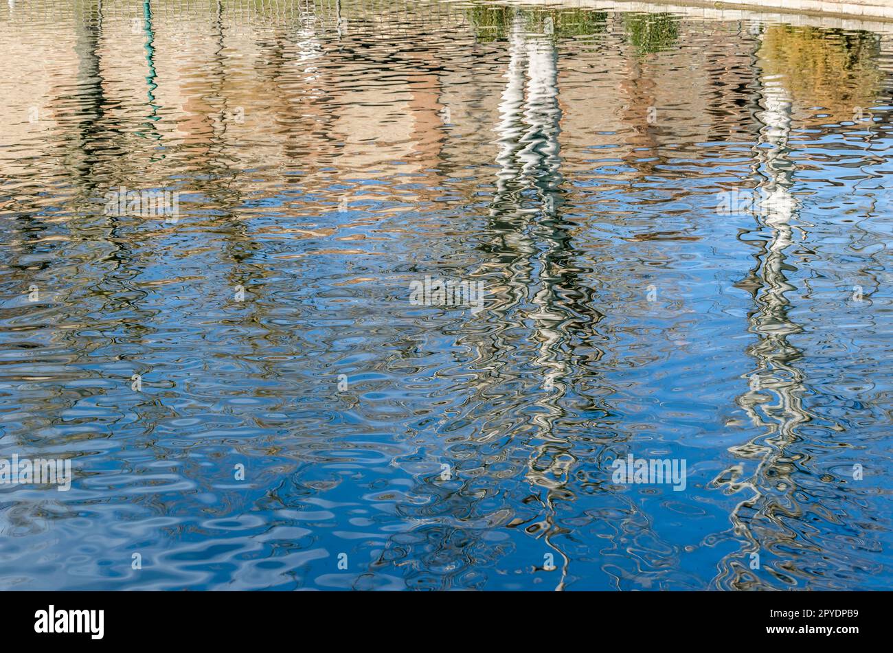Pond trees in background hi-res stock photography and images - Alamy