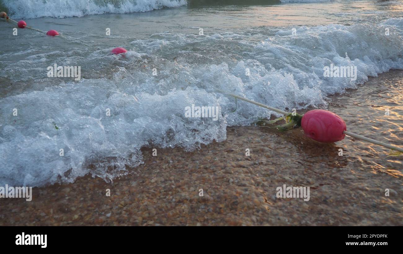 Buoys on a rope near sea water. The buoys are pink restraints to alert people to the depth of the water. Rescue of the drowning. Delimiting a place on a sandy beach between hotels. Wave with bubbles. Stock Photo