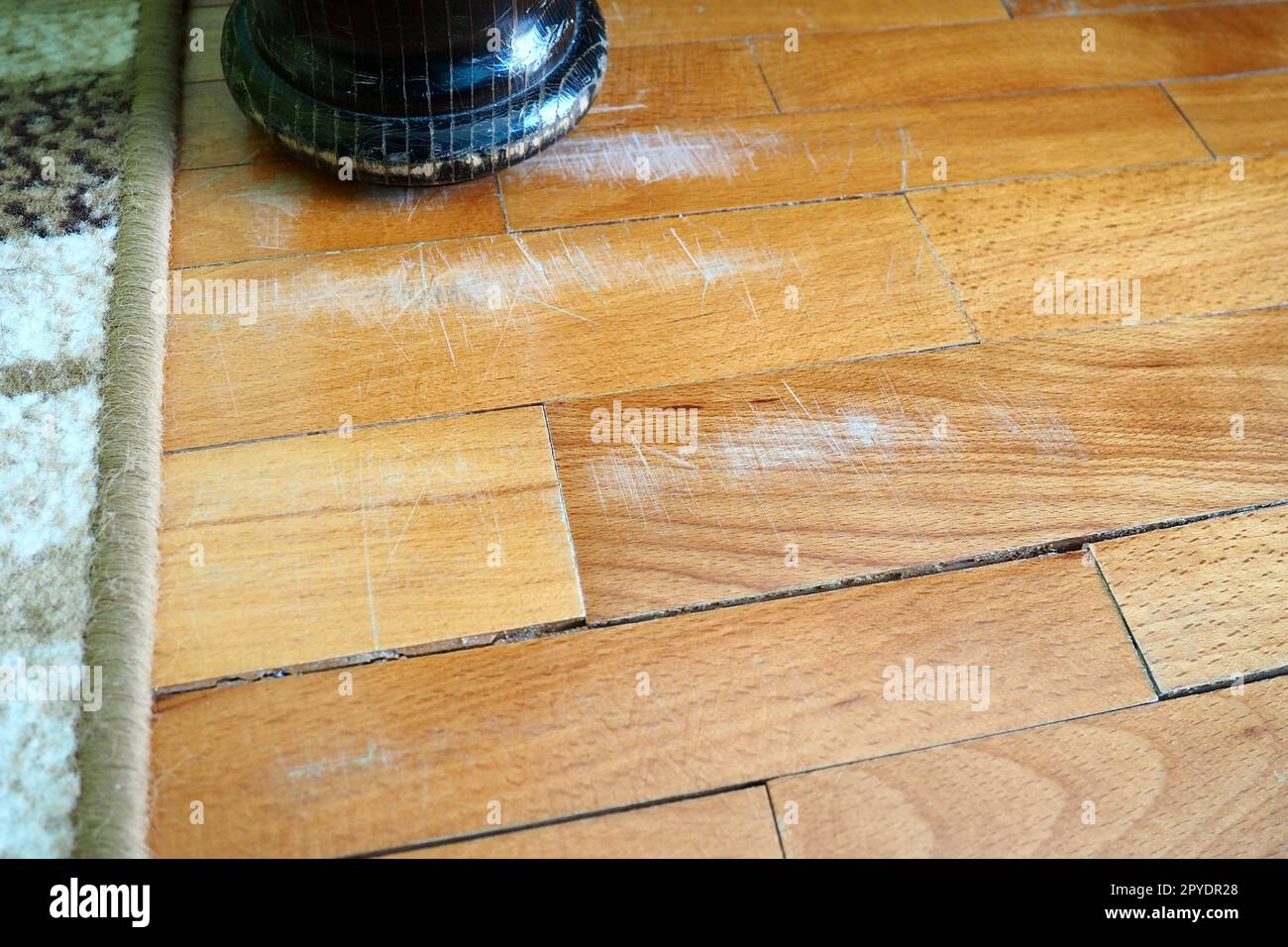 Scratched old parquet flooring needs maintenance. The parquet is