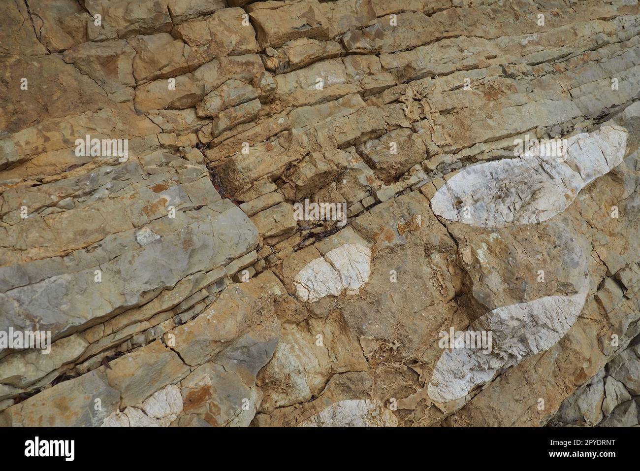 Flysch is a series of marine sedimentary rocks that are predominantly clastic in origin and are characterized by the alternation of several lithological layers. Balkans, Montenegro Herceg Novi Meljine Stock Photo