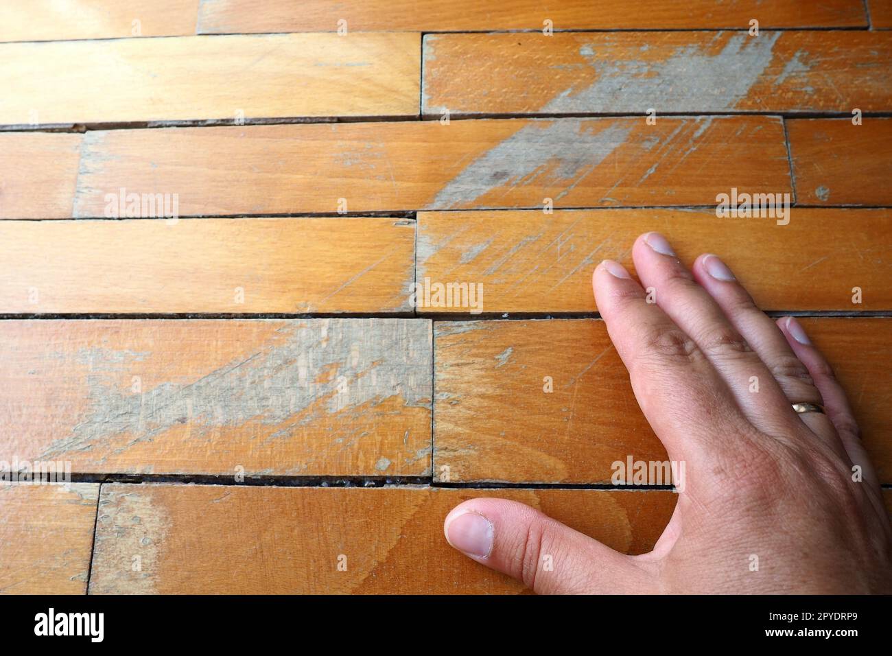 Old, scratched parquet flooring needs maintenance. the parquet is damaged by scratches from prolonged use. Master's hands show damage to the floor Stock Photo