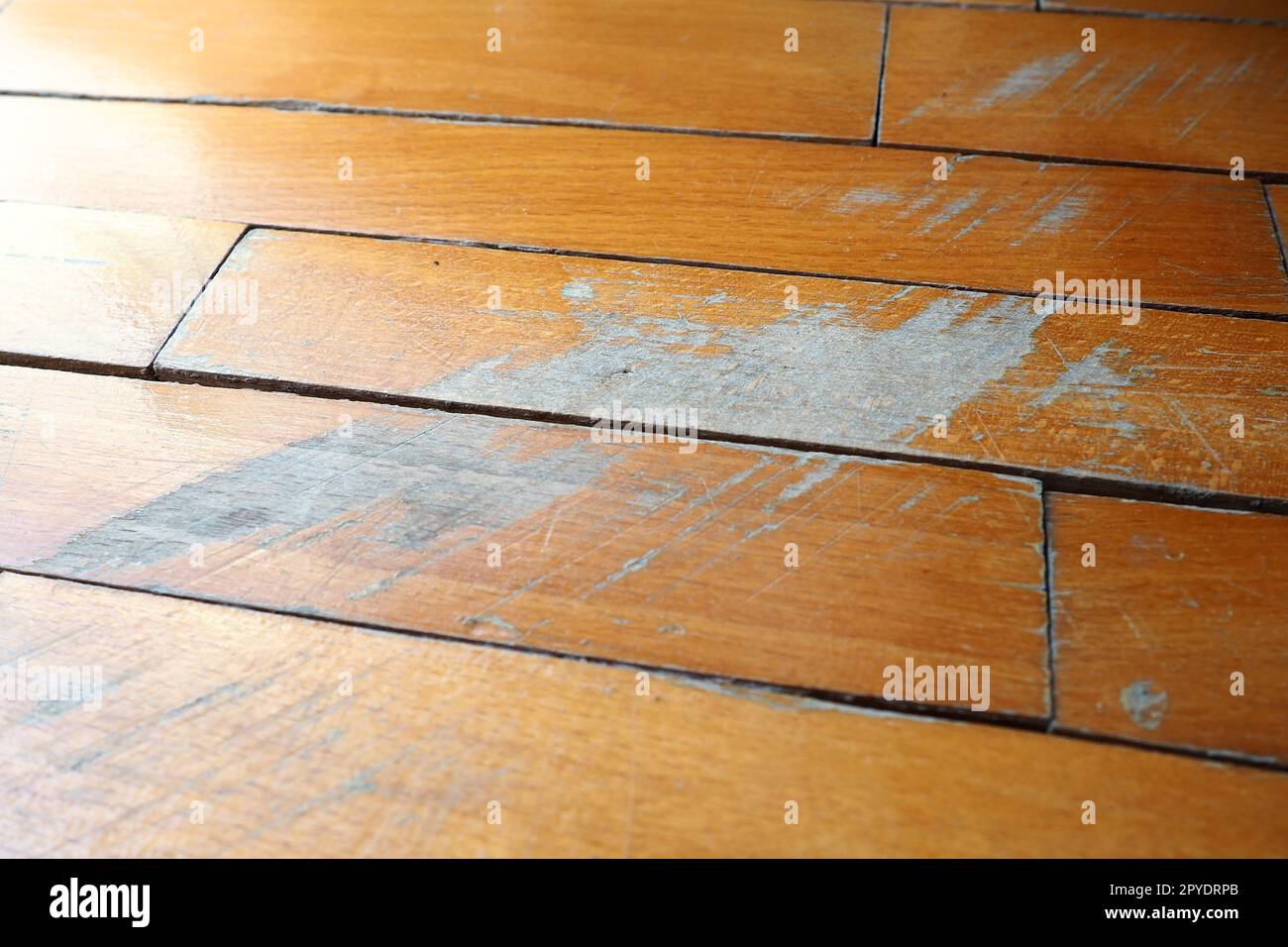 Old, scratched parquet flooring needs maintenance. The parquet is damaged by scratches from prolonged use Stock Photo