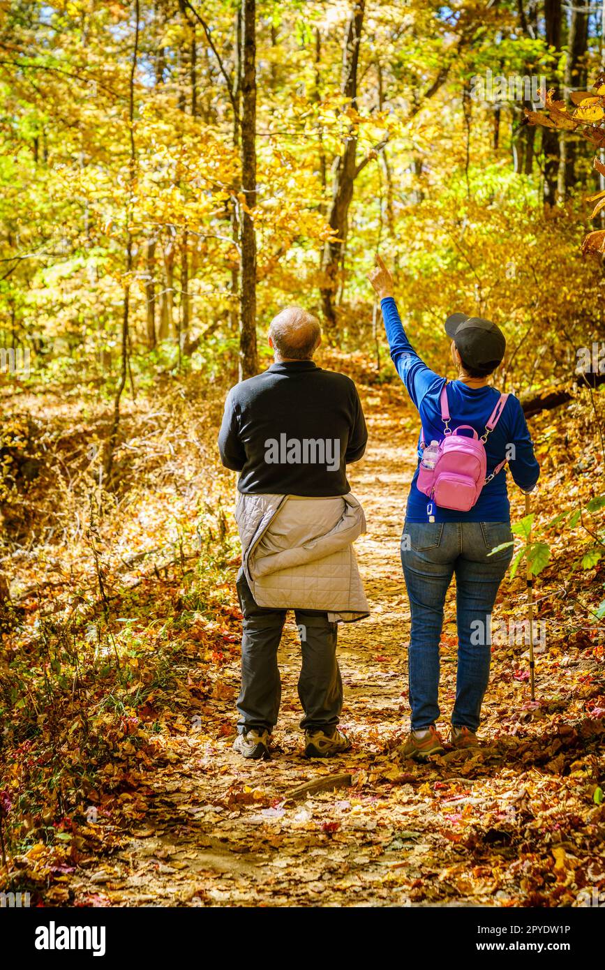 Man woman hiking pointing woods hi-res stock photography and images - Alamy