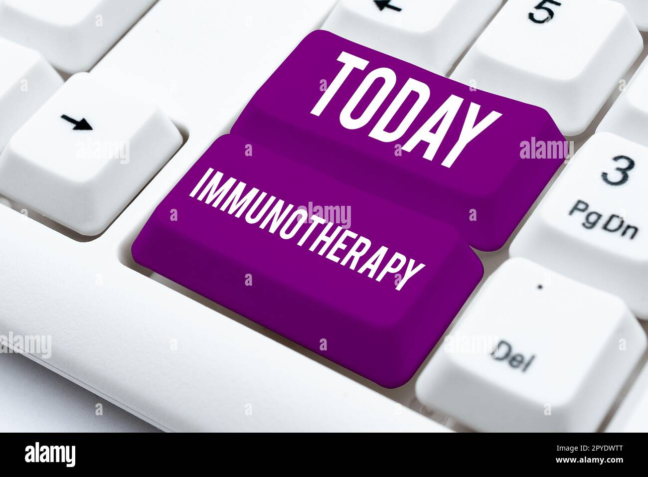 Conceptual display Immunotherapy. Business idea treatment or prevention of disease that involves enhancement of immune system Stock Photo