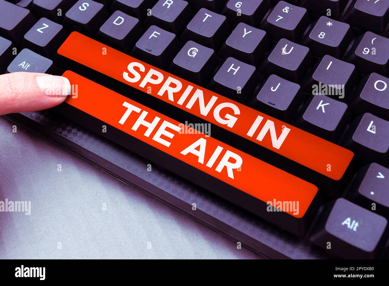 Writing displaying text Spring In The Air. Business overview natural feeling beautiful season flowers everywhere Stock Photo