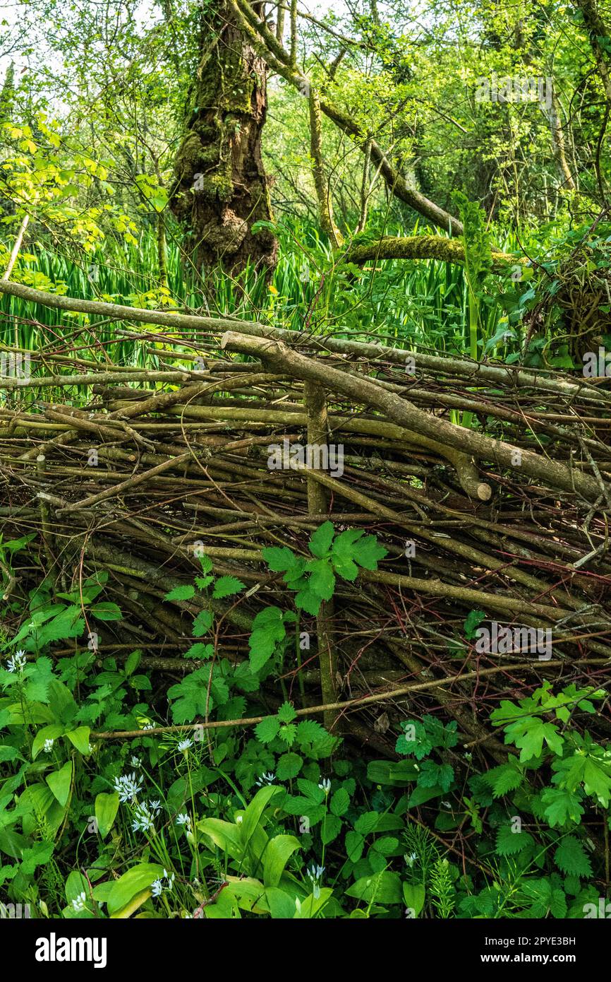 Traditional handmade wooden fence made with woven twigs and branches. Concept Rustic, Farming, Sustainable, Conservation, Eco-friendly, country crafts Stock Photo