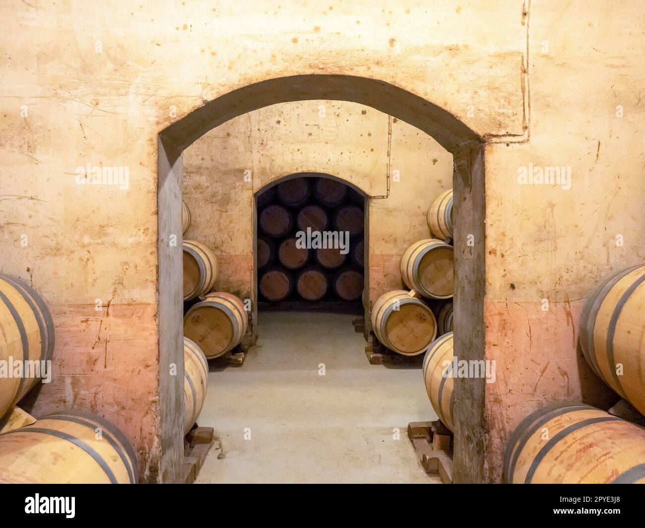 Old wooden barrels for preserving wine, inside the Marques de Riscal winery in the Rioja Alavesa. Stock Photo
