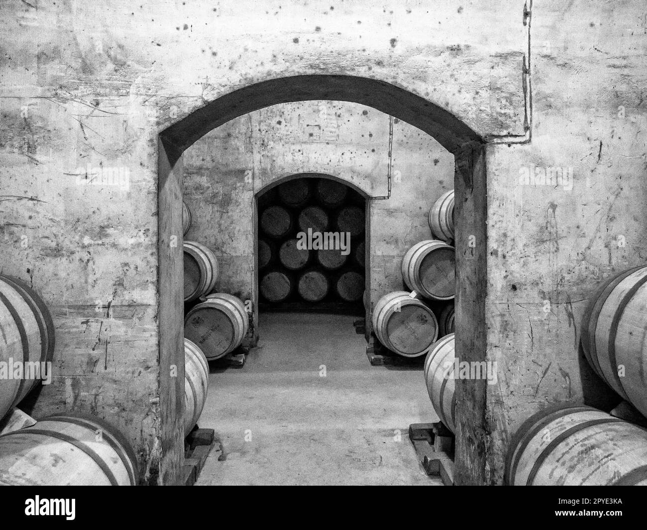 Old wooden barrels for preserving wine, inside the Marques de Riscal winery in the Rioja Alavesa. Stock Photo