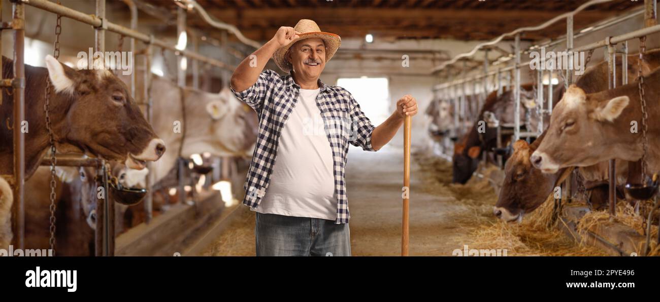 Farmer at a dairy farm with cows greeting with straw hat Stock Photo