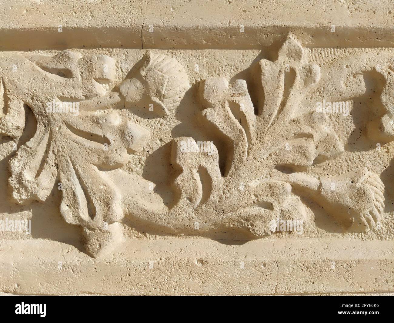 Ornament, sculptural drawing of structured plant elements. Decorating the wall with stucco in Dubrovnik, Croatia. A strip of shamrocks. Acanthus is a herbal vegetation, leaves are stucco elements. Stock Photo