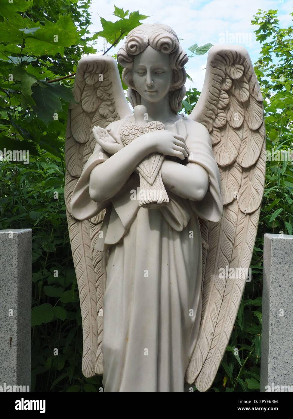 An angel with a dove. Sculpture in the cemetery. The figure of an angel with wings holding a bird in his arms. Lamentation for the deceased. Headstone monument on a Christian grave. Sadness and sorrow Stock Photo