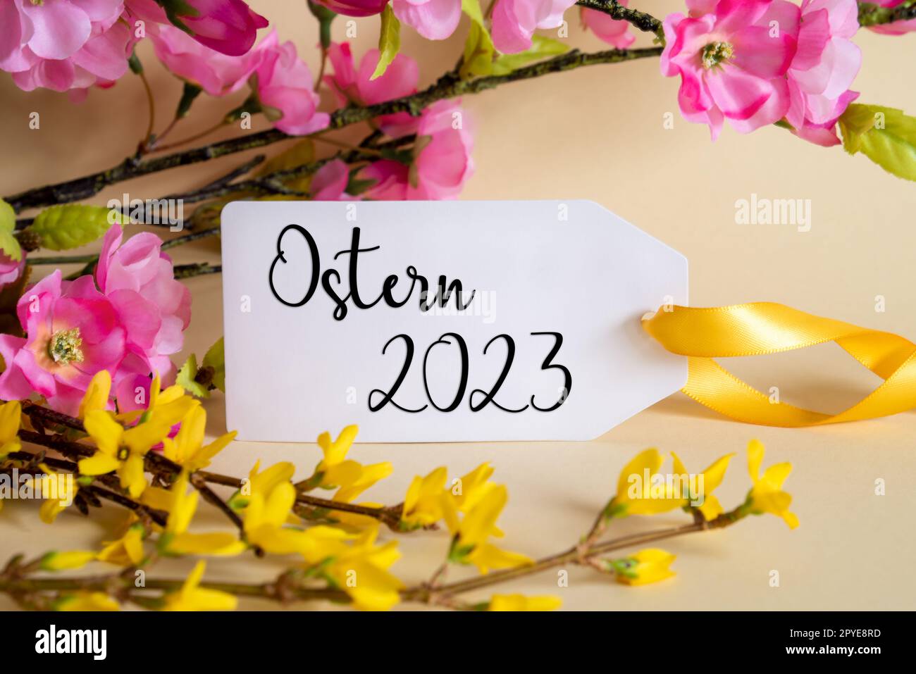 Spring Flower Decoration, Label With Ostern 2023 Means Easter 2023 Stock Photo