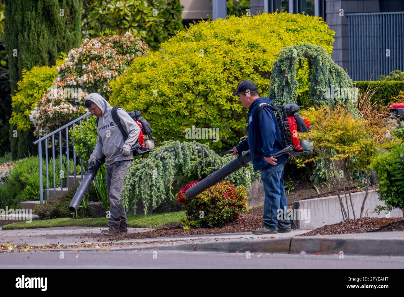 Gas powered leaf blower hires stock photography and images Alamy