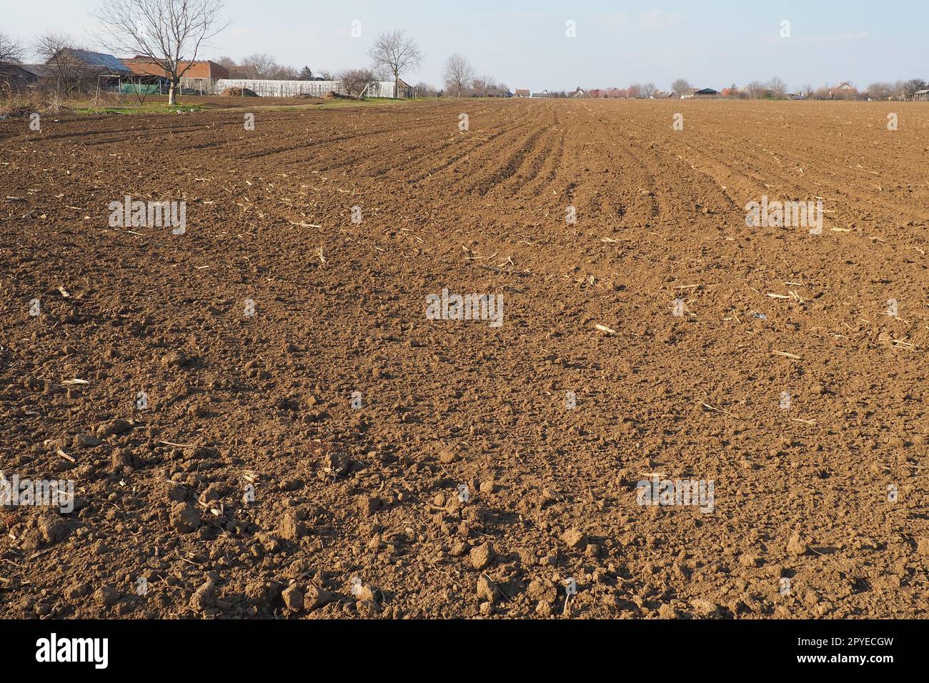 Arable field ready for spring agricultural work. Furrows from the passage of a tractor or combine. Cornmeal on the ground. Fertile soil for planting. Fertilizers are the key to a good harvest. Stock Photo