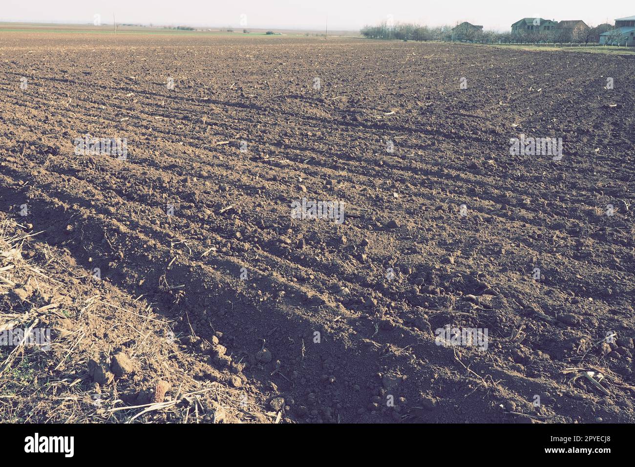 Arable field ready for spring agricultural work. Furrows from the passage of a tractor or combine. Cornmeal on the ground. Fertile soil for planting. Fertilizers are the key to a good harvest. Stock Photo