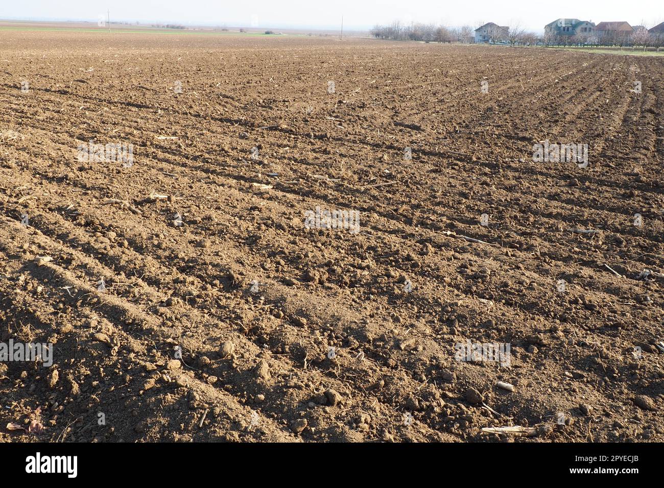 Arable field ready for spring agricultural work. Furrows from the passage of a tractor or combine. Cornmeal on the ground. Fertile soil for planting. Fertilizers are the key to a good harvest. Stock Photo