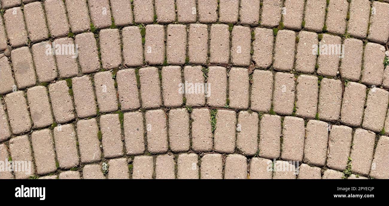 Cobbled street of the old city, lined with square and rectangular stone tiles in a chaotic manner. Soft beige or yellow colors and tones. The texture of the stone. Geometric pattern. Stock Photo
