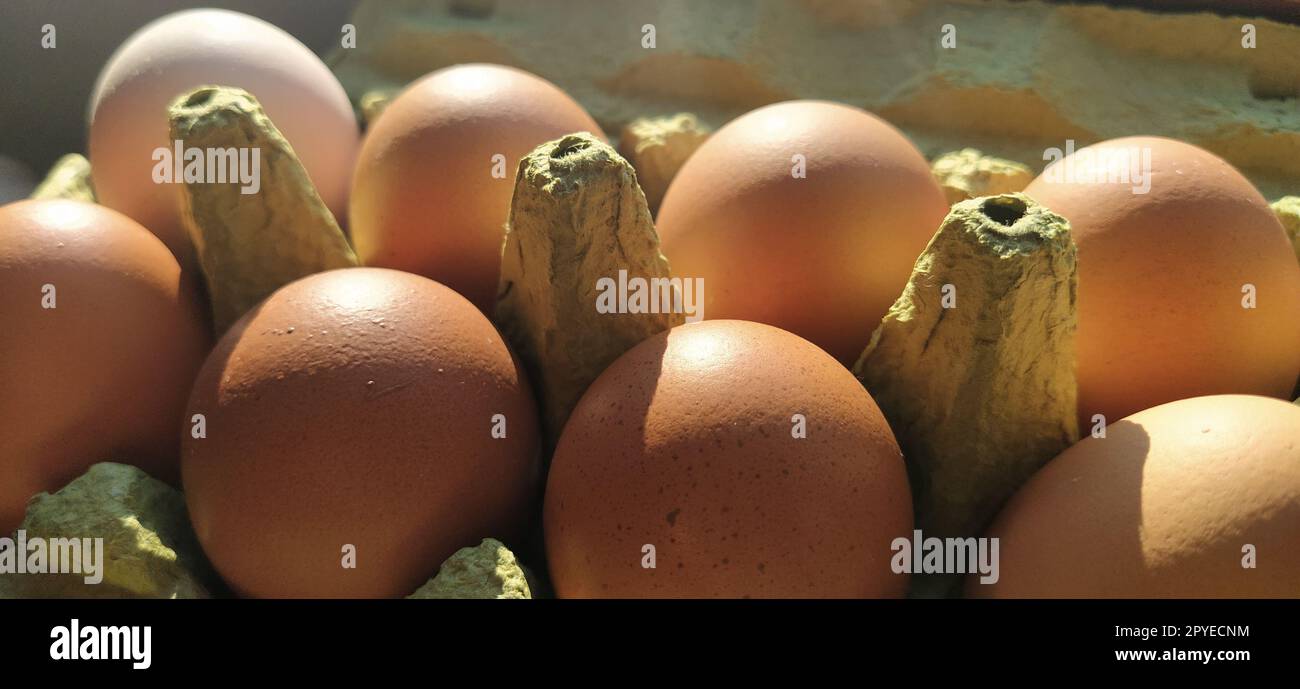 Chicken eggs in a carton. Beige eggs in a container when illuminated by spring sunlight. Ingredients. Agricultural products. Farm food. Proper protein nutrition. Recycled packaging.Demography concept. Stock Photo