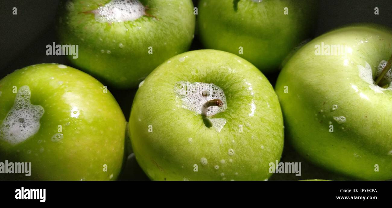 https://c8.alamy.com/comp/2PYECPA/wet-soapy-green-apples-thoroughly-wash-vegetables-and-fruits-with-water-and-soap-prevention-of-infectious-diseases-apples-closeup-vegetarianism-soapy-foam-sparkles-in-sunlight-2PYECPA.jpg