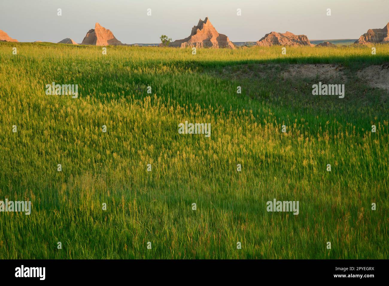 USA; Great Plains; South Dakota; Badlands National Park; Stock Photo