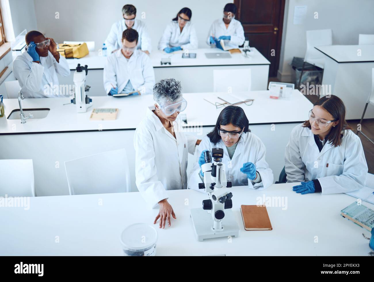 Science, university students and microscope in scientist lab for learning from mentor for medical education or medicine research in class. Pharmacist and chemistry test for women group for analysis Stock Photo