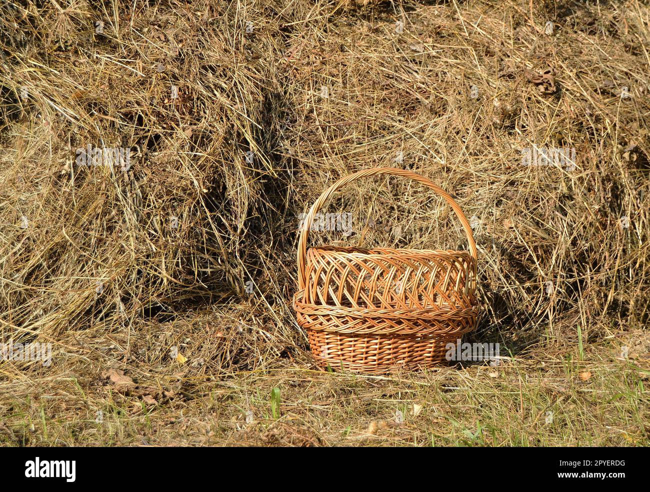 Wicker basket near hay stack on a hot Sunny summer day Stock Photo