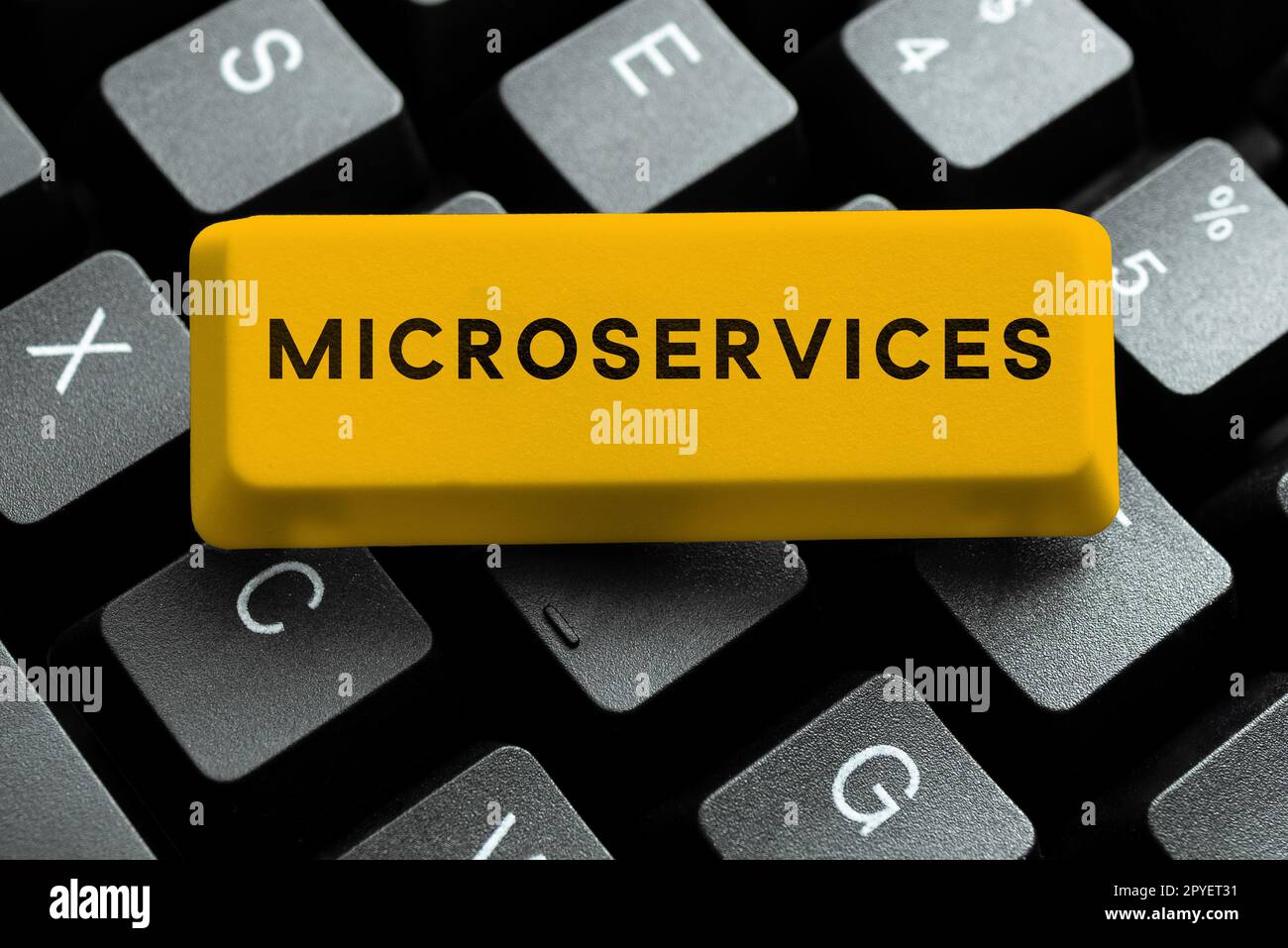 Text sign showing Microservices. Business showcase Software development ...