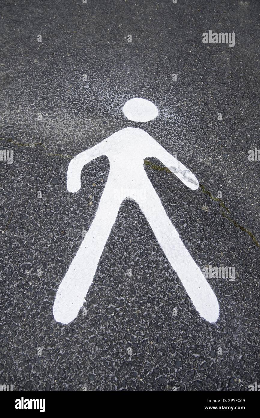 Pedestrian signal on the asphalt Stock Photo