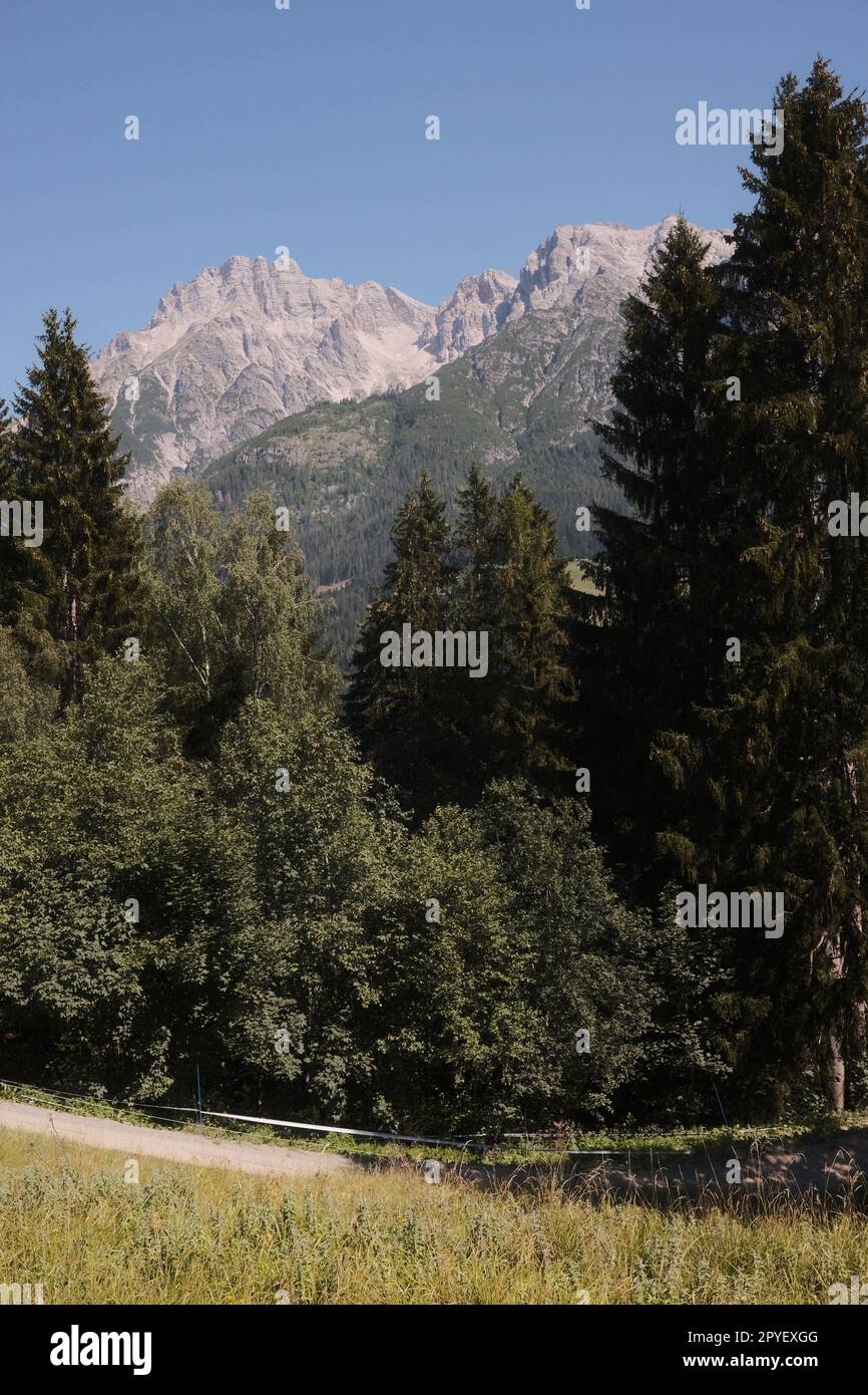 Pathway amidst trees into the woods in Leogang in Austria Stock Photo