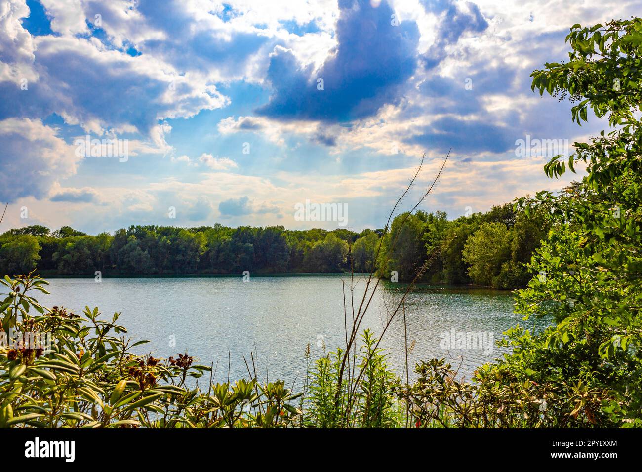 Green forest blue river hi-res stock photography and images - Alamy