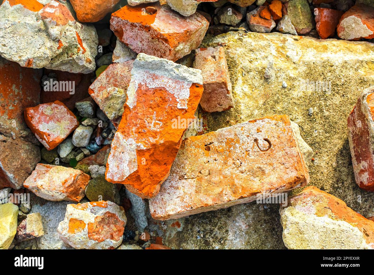 Stones stone pavement and nature on dike water in Germany. Stock Photo
